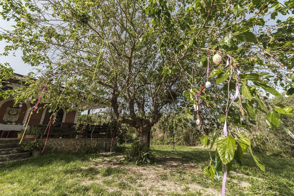 Country House Araba Phoenix Castellabate Buitenkant foto